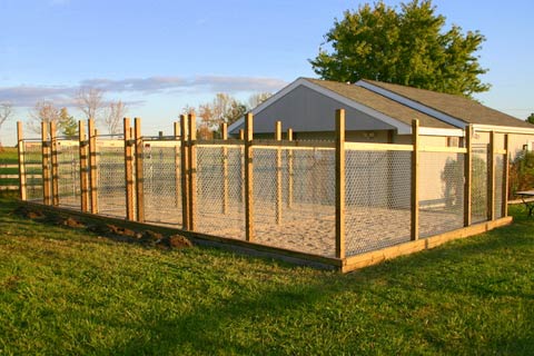 Our Kennel