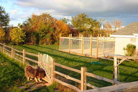 Kennel from deck