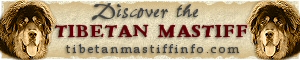 Tibetan Mastiff Info .com